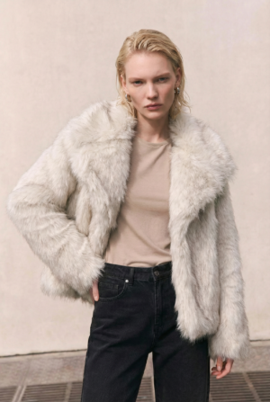 freepik_reemplaza-unicamente-el-c_2738327735