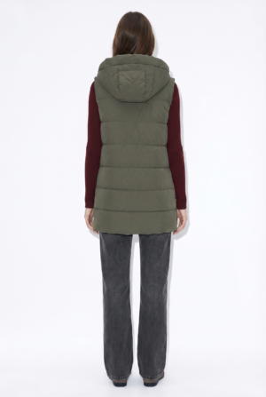 freepik_reemplazar-unicamente-el-_2813727282